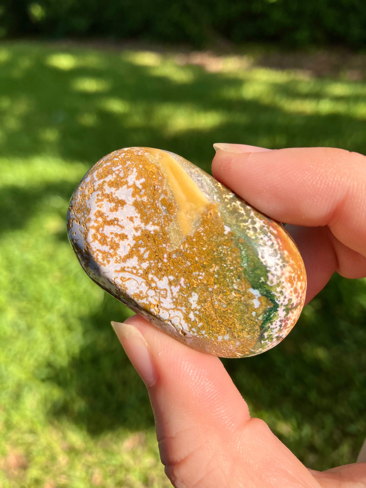 Ocean Jasper Mini Palm