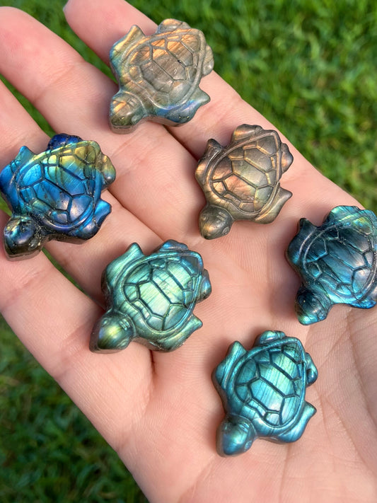 Labradorite Turtle Carving