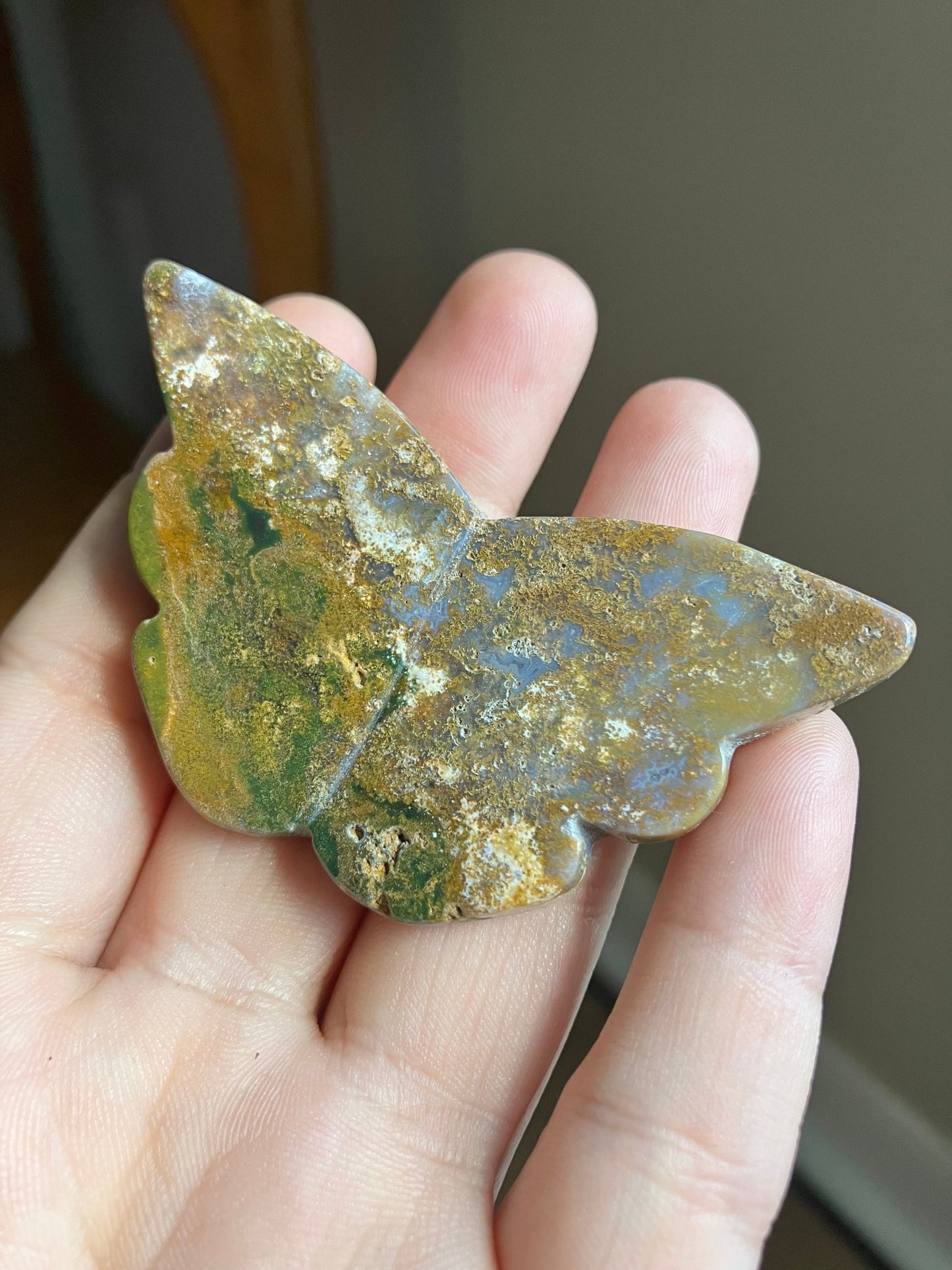 Ocean Jasper Butterfly