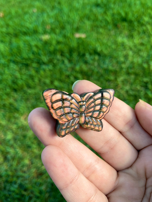 Labradorite Butterfly Carving