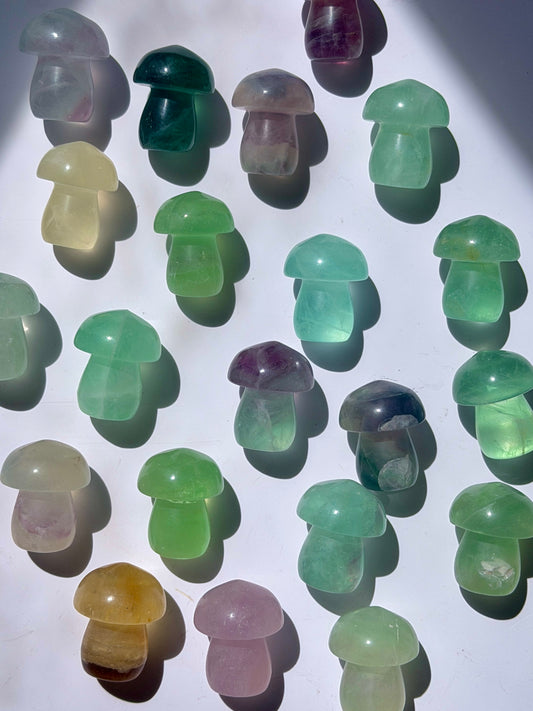 Fluorite Mushrooms