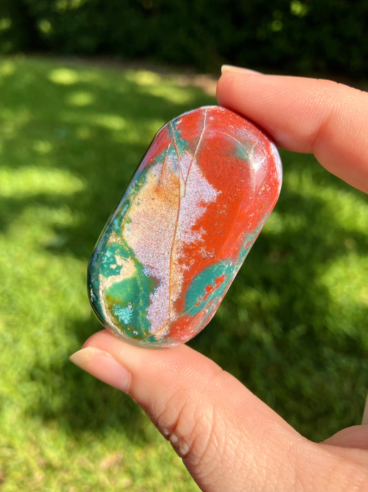 Ocean Jasper Mini Palm