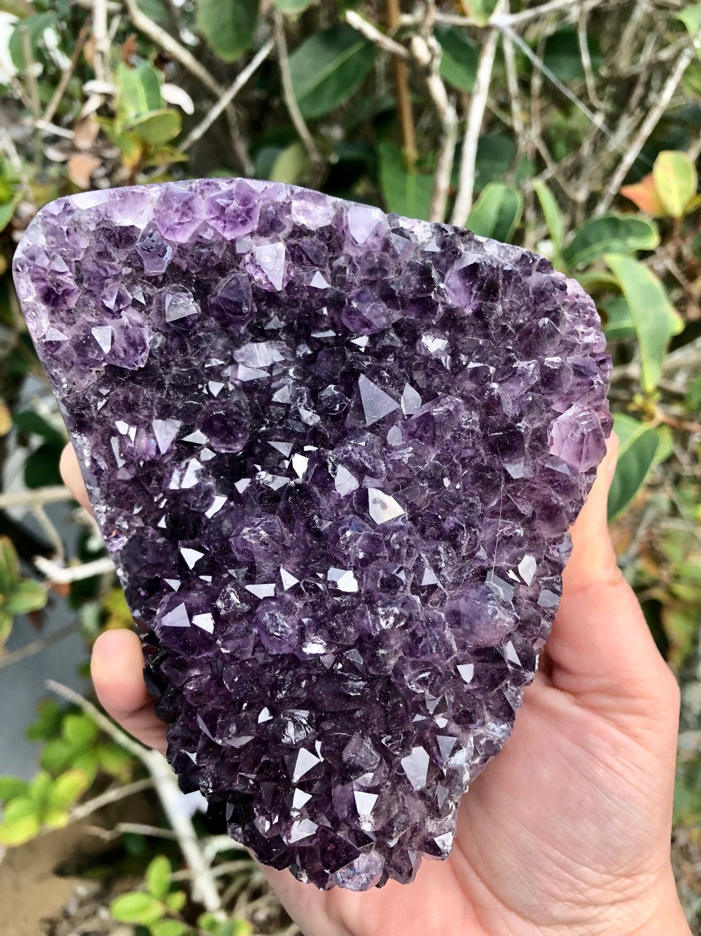 Amethyst w. Agate Banding