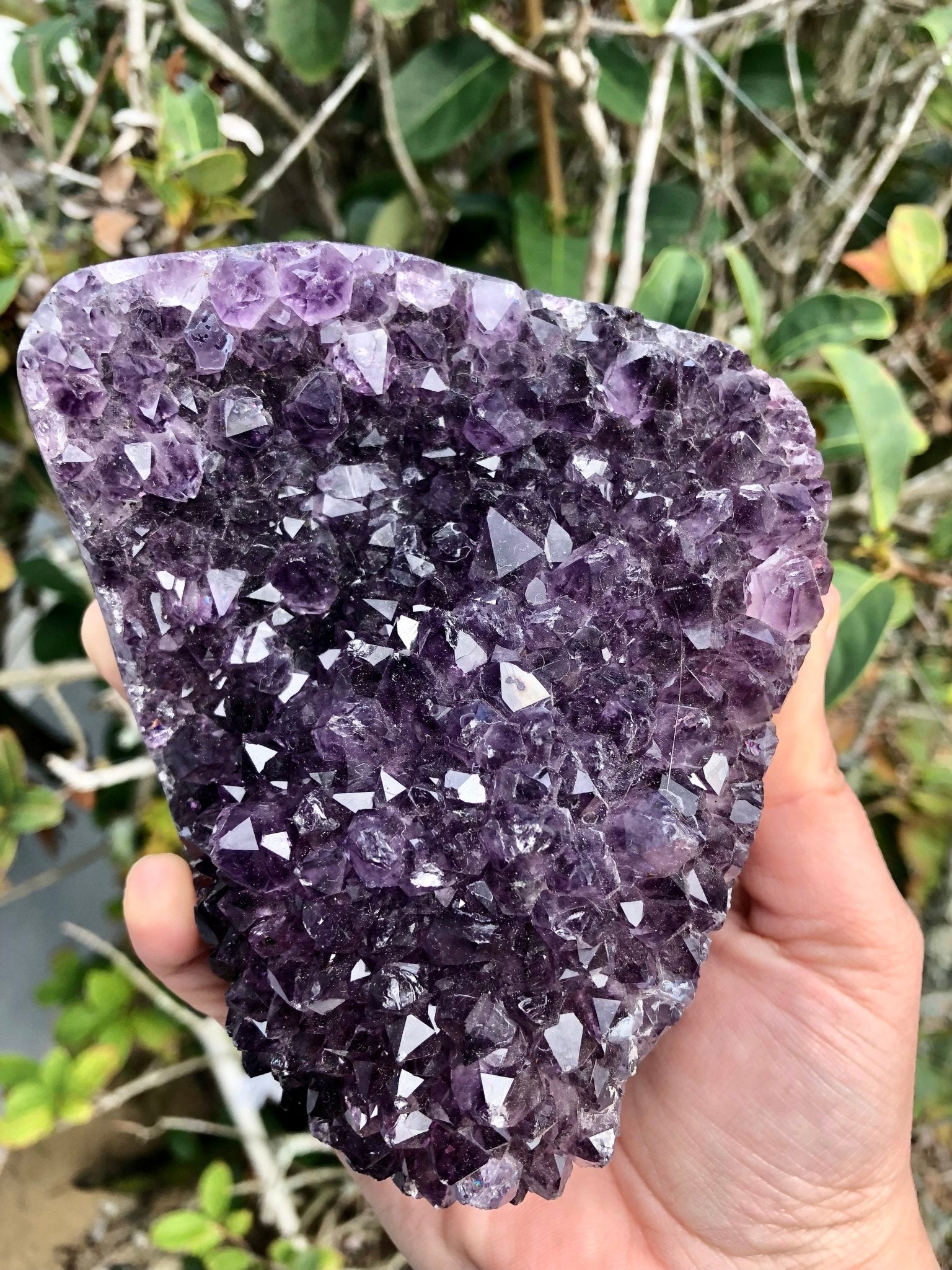 Amethyst w. Agate Banding