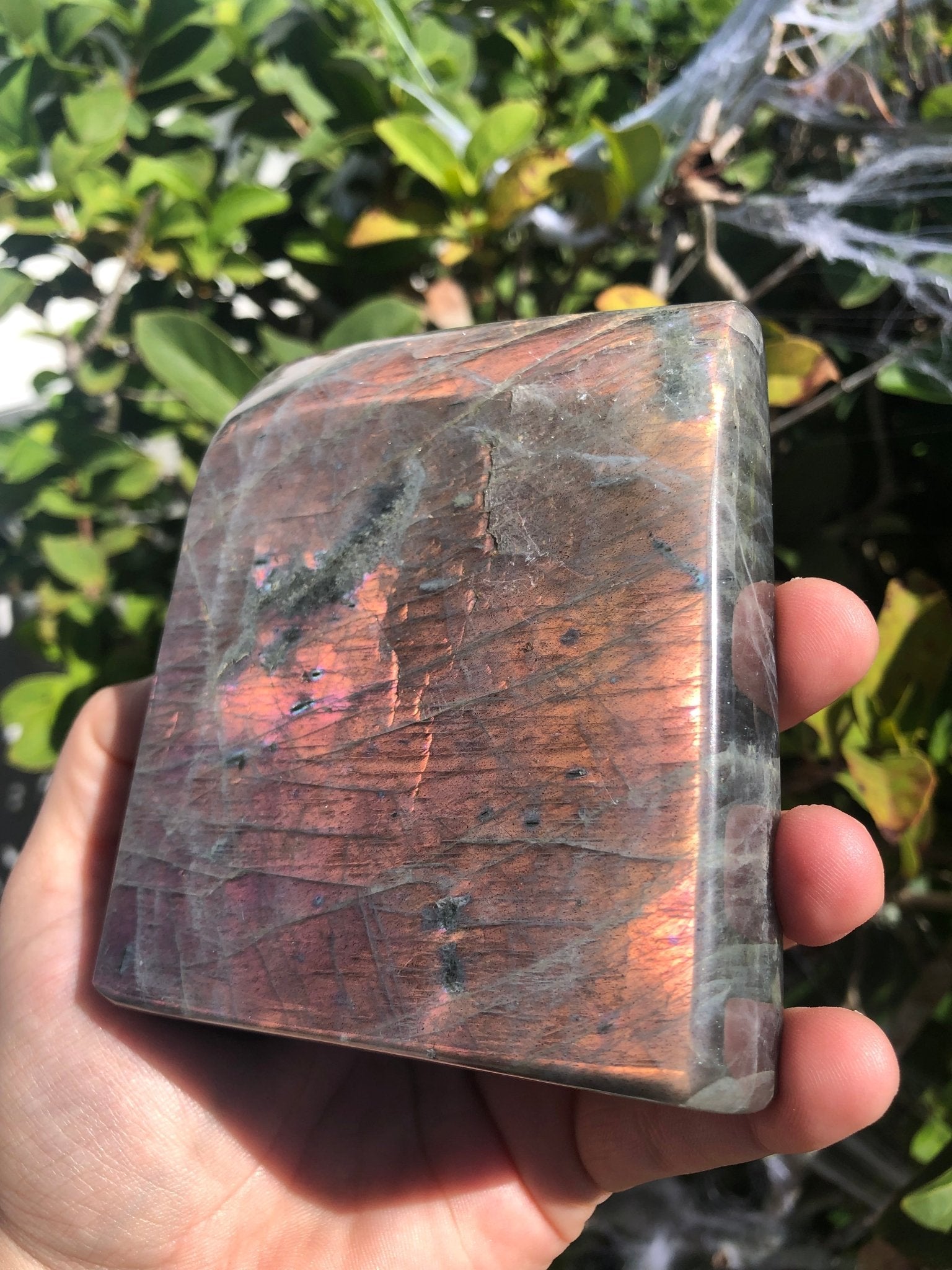 Labradorite - Orange & Purple Flash - Chunky Freeform