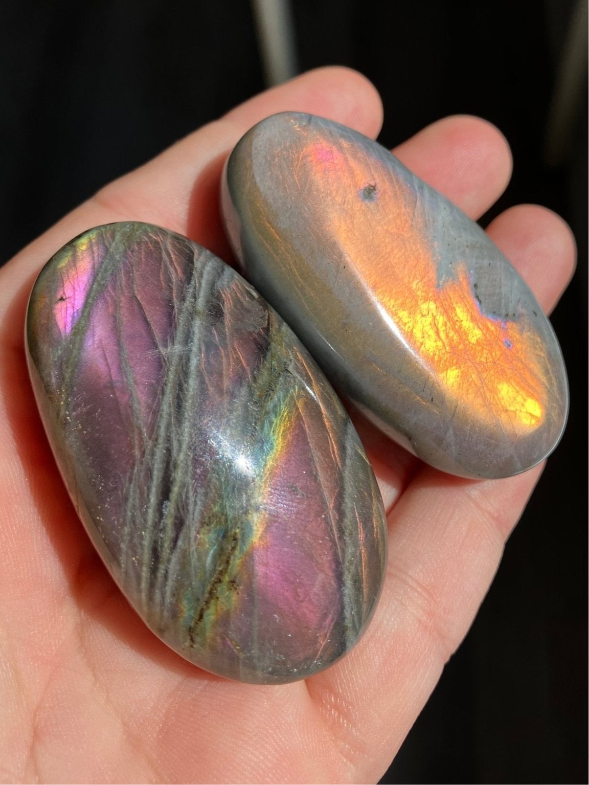 Labradorite Palms w. Gold Purple and Pink Flash